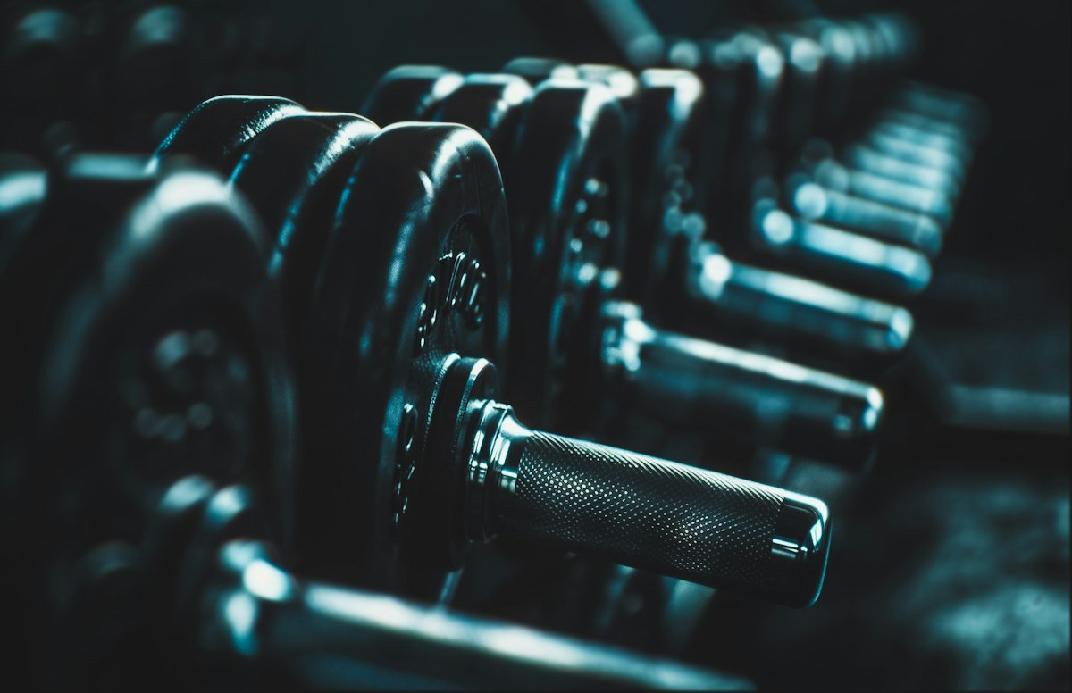 A rack of dumbbells of increasing weight in a gym
