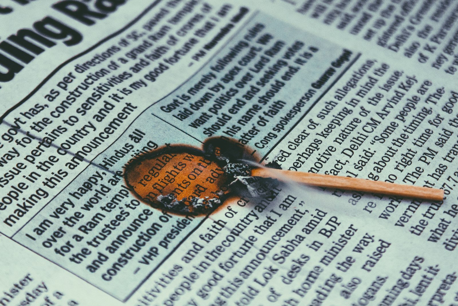 a close-up of a bug